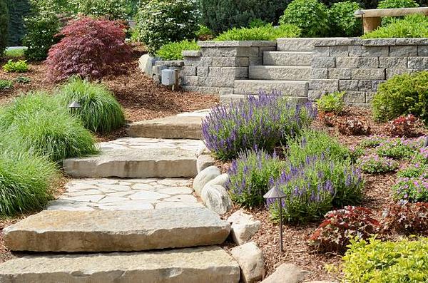 Best Hardscaping Companies Near Me for Stunning Outdoor Spaces